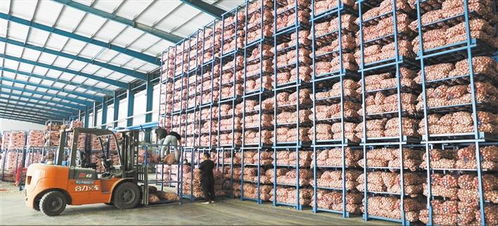 鄉村振興 一線 牽 服務民生謀發展