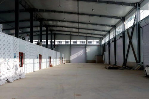 嗨購新年 會(huì)寧朝陽農(nóng)產(chǎn)品交易中心將于元旦盛大開業(yè)